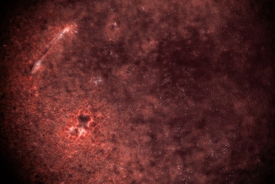 A visible-light photograph through a Nikon PlanApo 20x objective. A bright streak crosses a red field of cells.