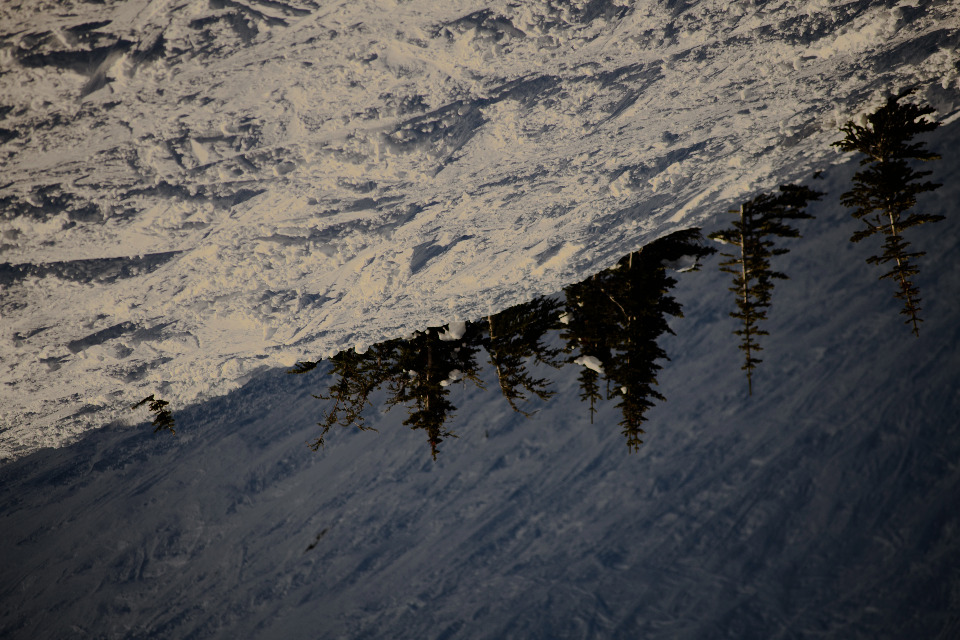 A snow-covered landscape with trees in the middle. The image appears to be tilted.